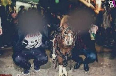 Usaban pony como atracción en boliche bailable de Banfield