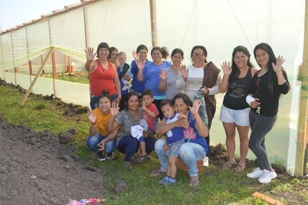 Las huertas comunitarias prosperan en la Ciudad de la mano de Cáritas
