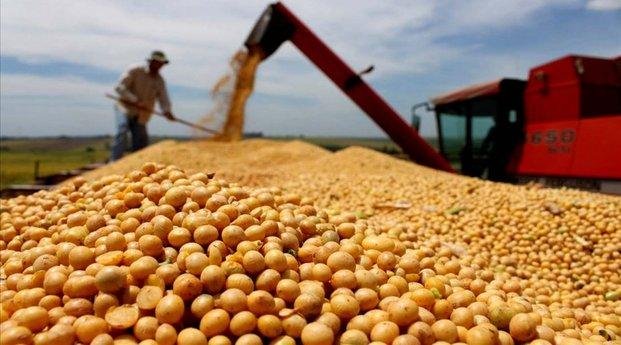 Se comercializaron 5,5 millones de toneladas de granos en lo que va del año