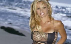 Pamela Anderson: "La pornografía 
es para perdedores"