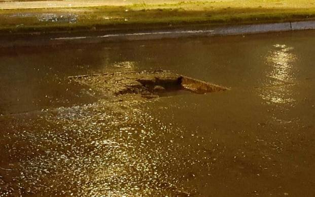Advierten por "peligroso" bache 
en plena avenida en 532 y 3