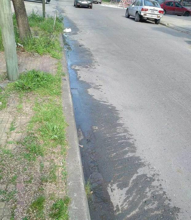 Video: En 8, 36 y 37 denuncian desborde cloacal, 
olor nauseabundo y foco infeccioso