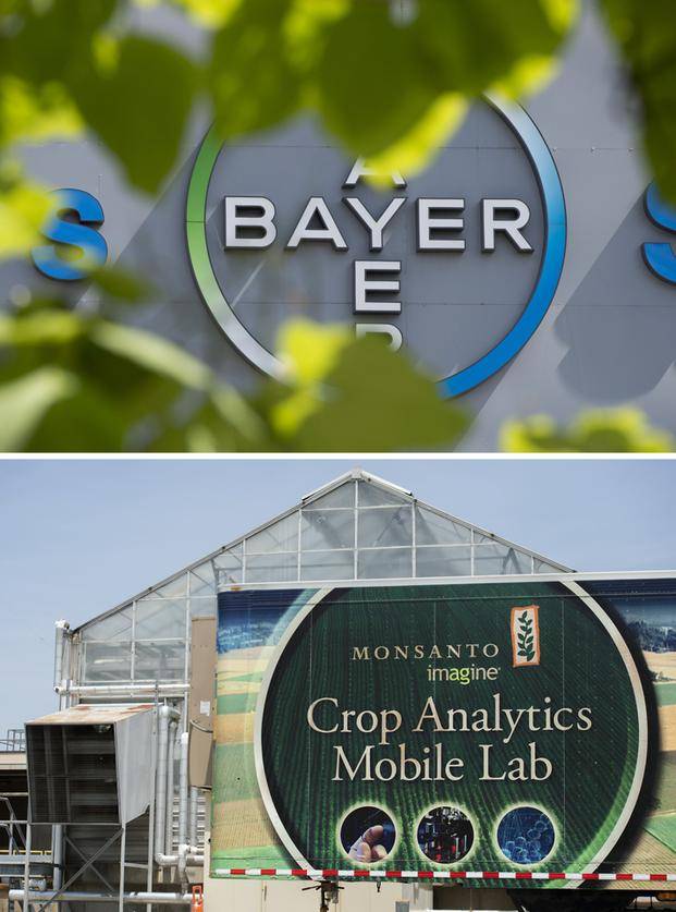 Bayer compró Monsanto: nace un gigante de la agroindustria