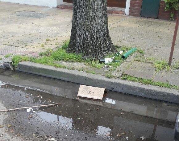 Una pérdida de agua que lleva 5 años en plaza Brandsen