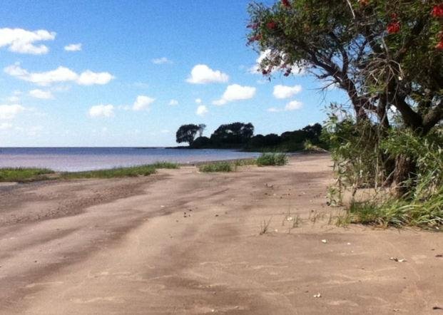 Punta piedras