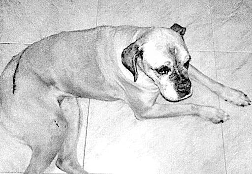 Extravios y hallazgos
