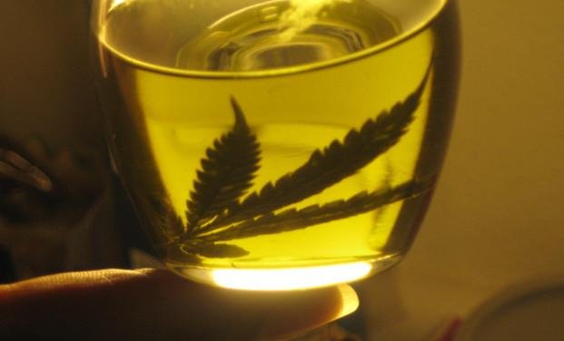 Buscan aprobar el uso de aceite de cannabis también en Santa Fe