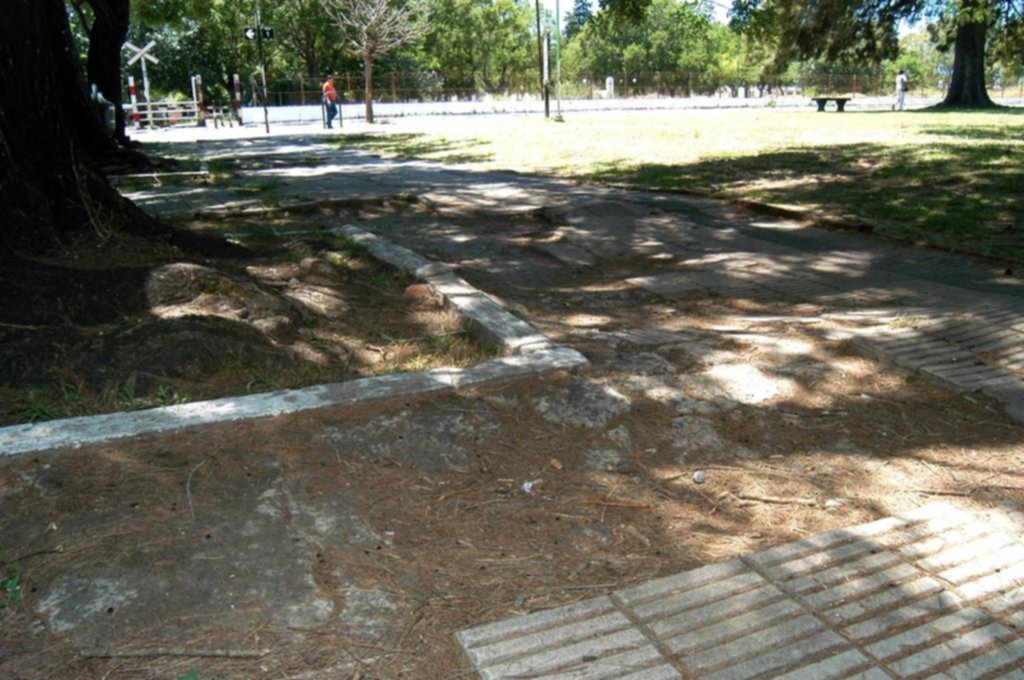 Tras los reclamos, se inició la puesta en valor de la plaza Iraola