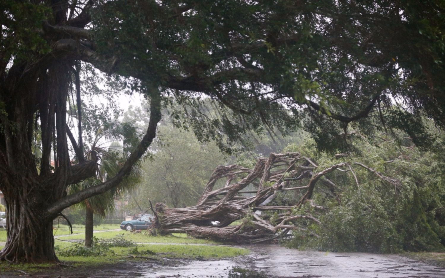 Afirman que apenas ingresó a Florida el huracán se cobró tres víctimas fatales