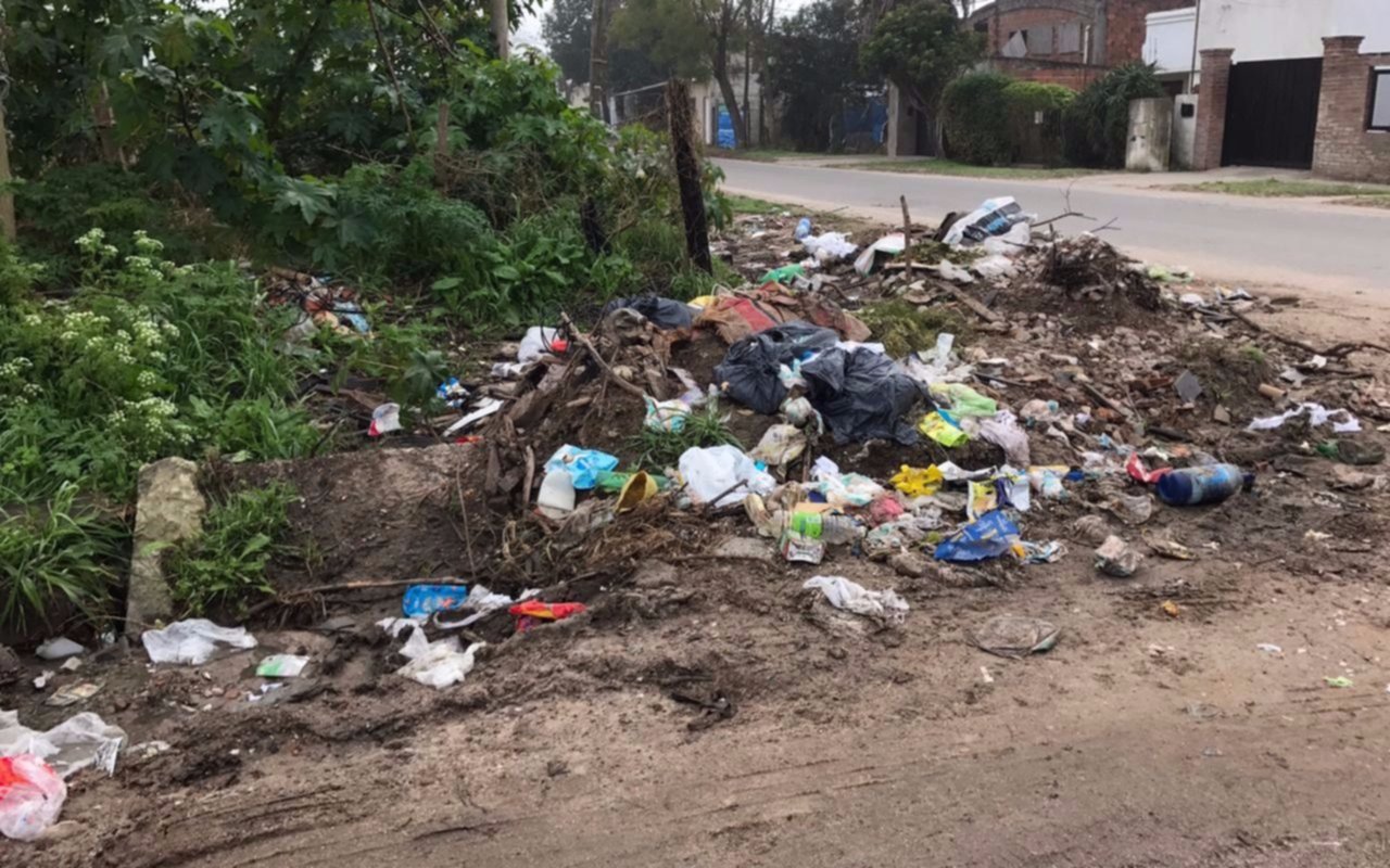 No cesa la acumulación de basura  en 124 y 75