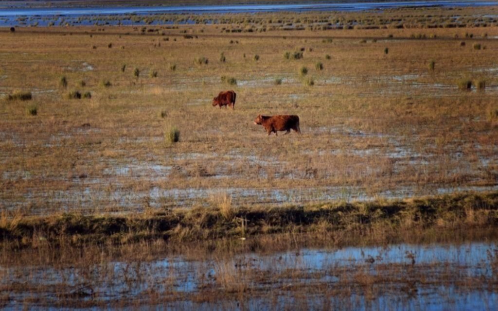 Afirman que las pérdidas económicas por inundaciones superan los US$ 1.000 millones