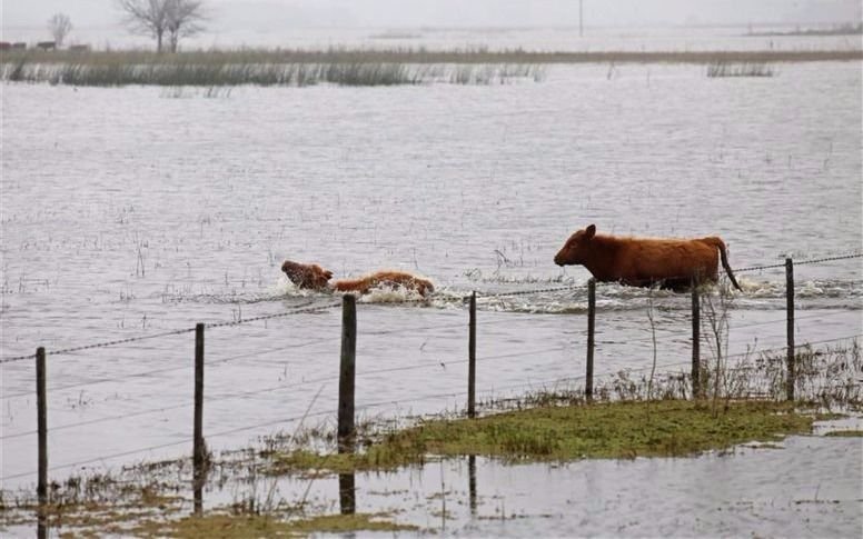 Afirman que hay más de 10 millones de hectáreas "de las más productivas" inundadas