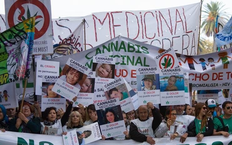 Ley de cannabis: expectativas y quejas por su reglamentación