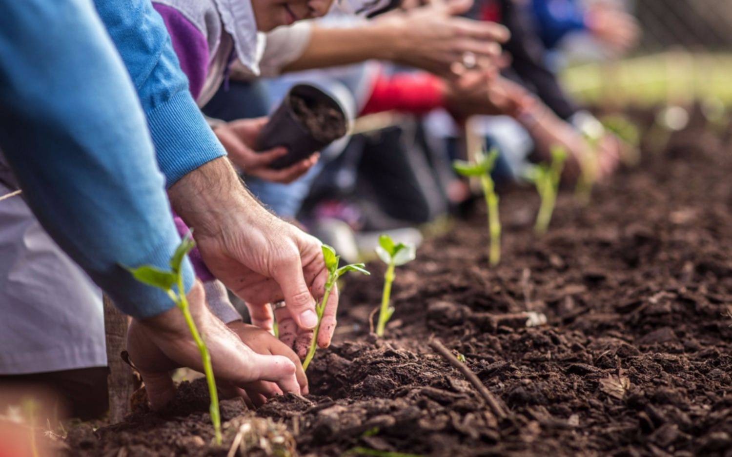 Sigue abierta la inscripción para talleres de huerta