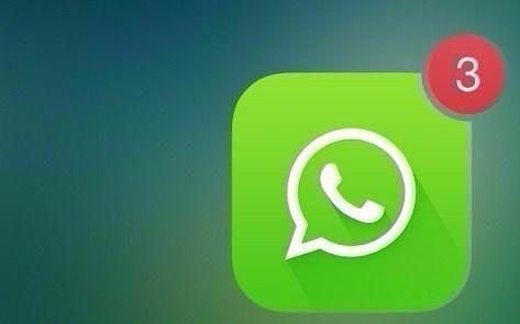  Conectate con EL DIA a través de WhatsApp