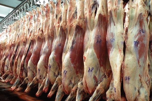 Polémica por autorización para importar carne bovina brasileña