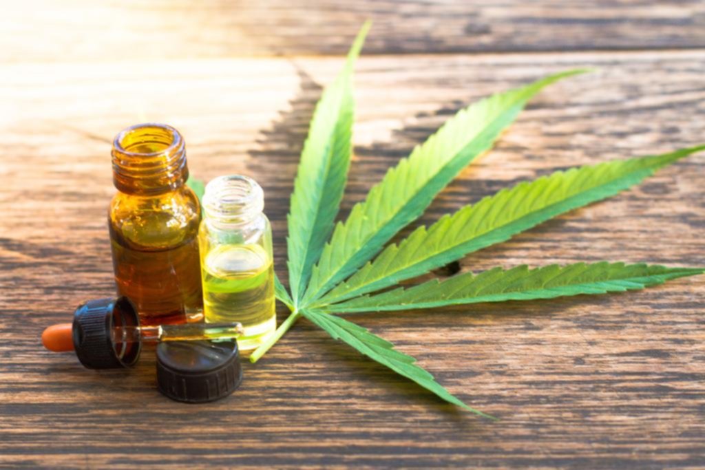 Se reglamentó la ley de cannabis aunque dicen que deja baches y es“restrictiva”