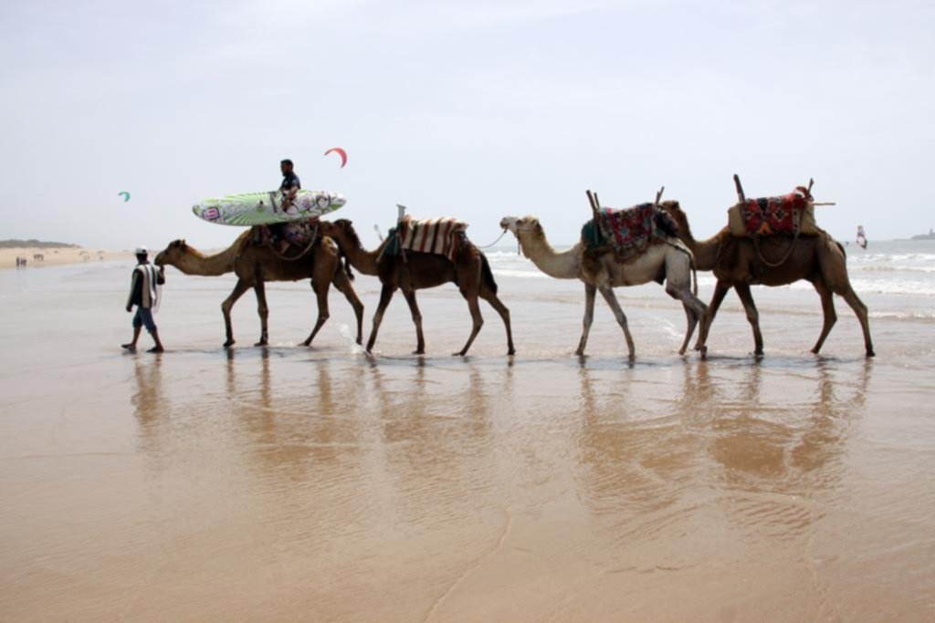 Marruecos: olas, té de menta y camellos en una costa atlántica atrapante