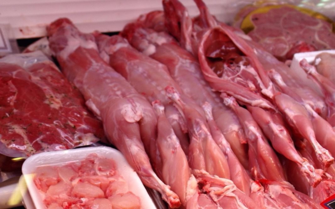 Analizan medidas para promover el consumo de carne de conejo