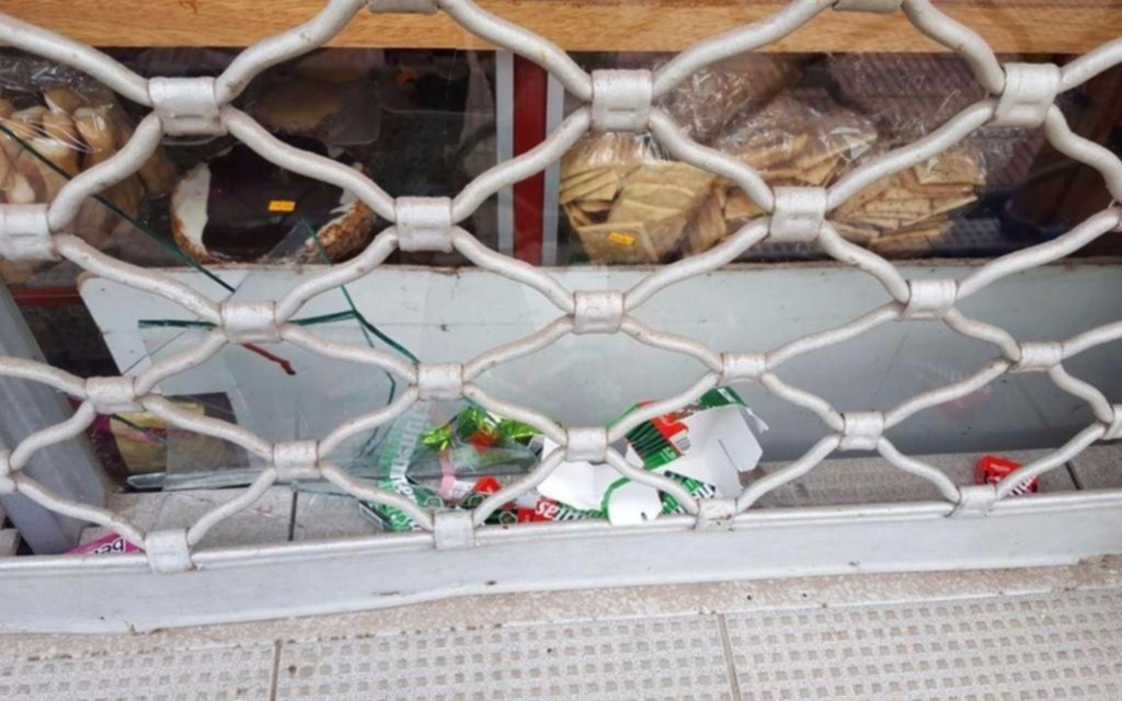 Ladrones de madrugada siguen haciendo estragos en los comercios de la Región