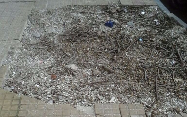Quejas por una vereda rota tras el retiro de un árbol