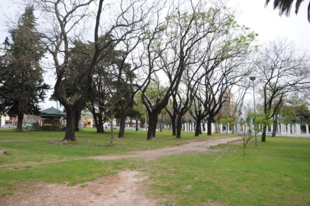 Se recupera el joven baleado por motochorros en la plaza de 19 y 60