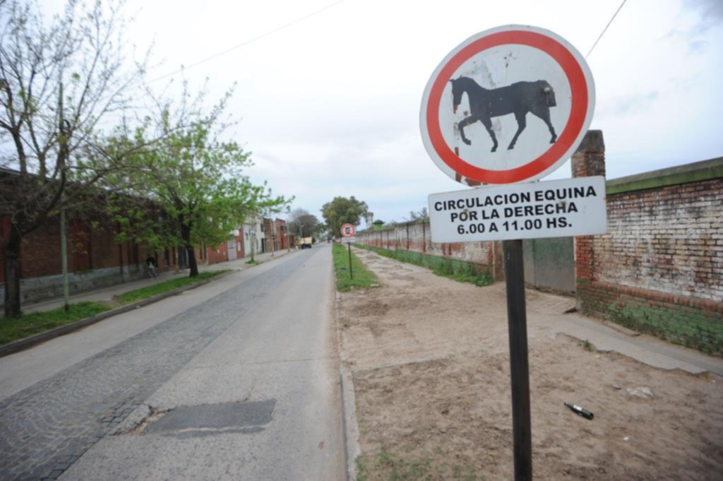 Proponen crear una senda para los caballos en Barrio Hipódromo