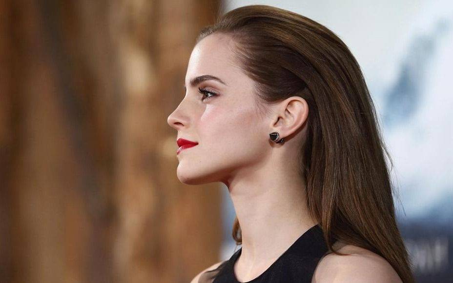 Chau Emma Stone, hola Emma Watson: se sigue armando el superelenco de la nueva "Mujercitas"