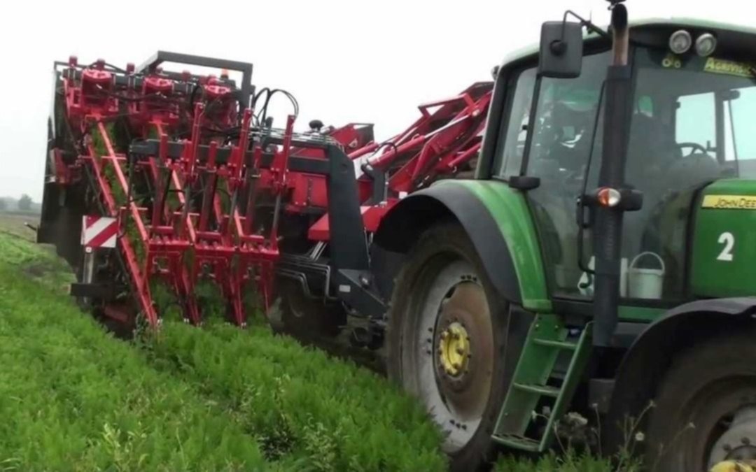 Tras el regreso de las retenciones se frenaron las exportaciones agrícolas