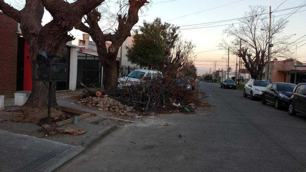 Reclamo de vecinos por ramas y basura sobre la calle