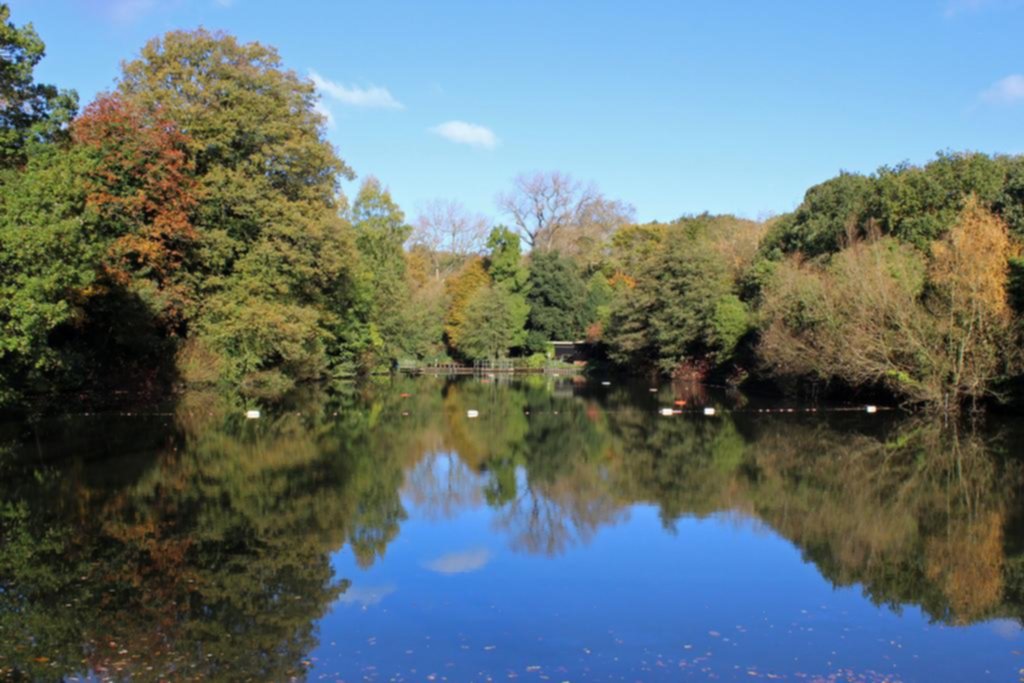 Hampstead Heath, un área de bosques y praderas casi en el corazón de Londres