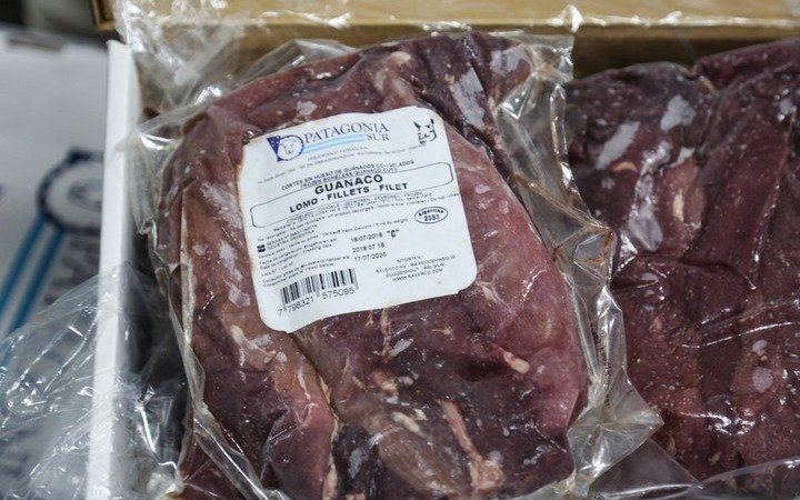  Argentina exporta carne de guanaco por primera vez 