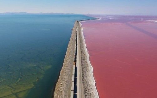 ¿Por qué este lago es mitad rosado y mitad verde?