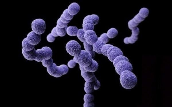 Expertos de la Ciudad analizan alcances de la bacteria que ya se cobró seis vidas