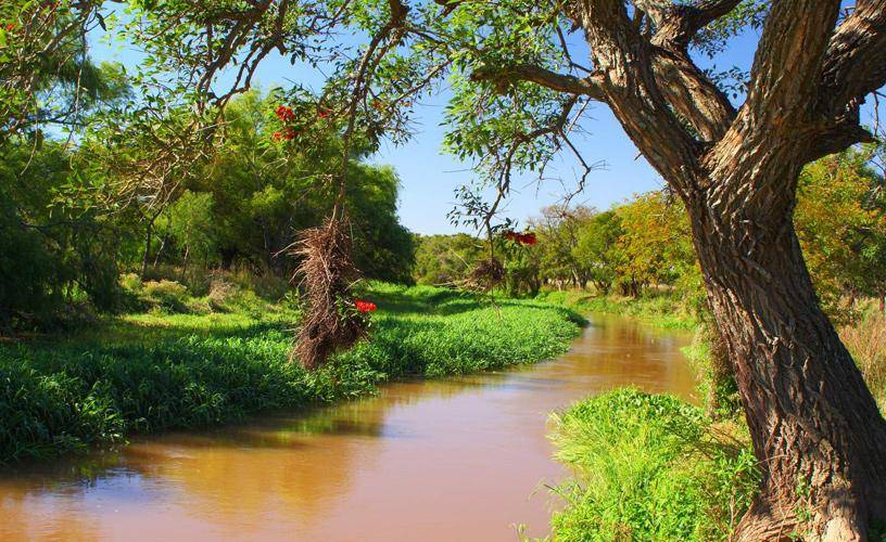 Una recorrida por El Delta Superior