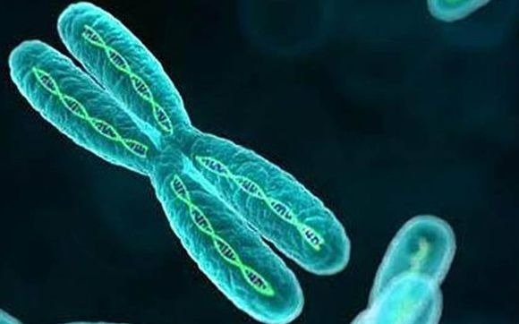 Una nueva terapia oral para pacientes con enfermedad de Fabry ya está disponible en el país