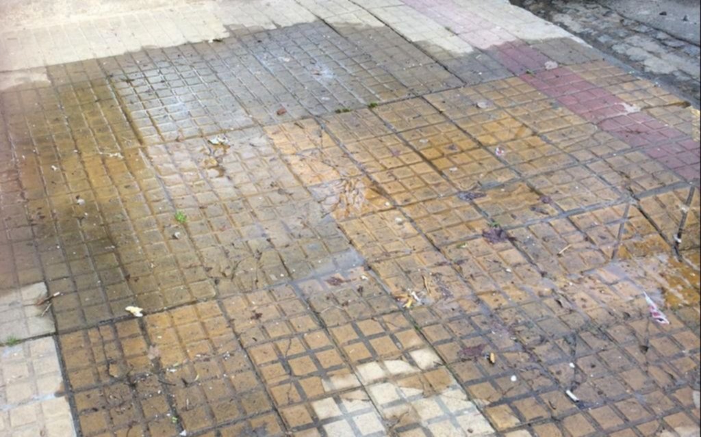 Vereda llena de agua por una pérdida en barrio Norte