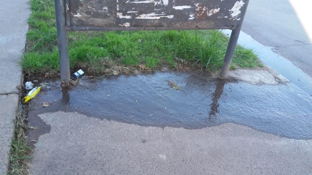 Parada de micros inundada en una esquina de Tolosa