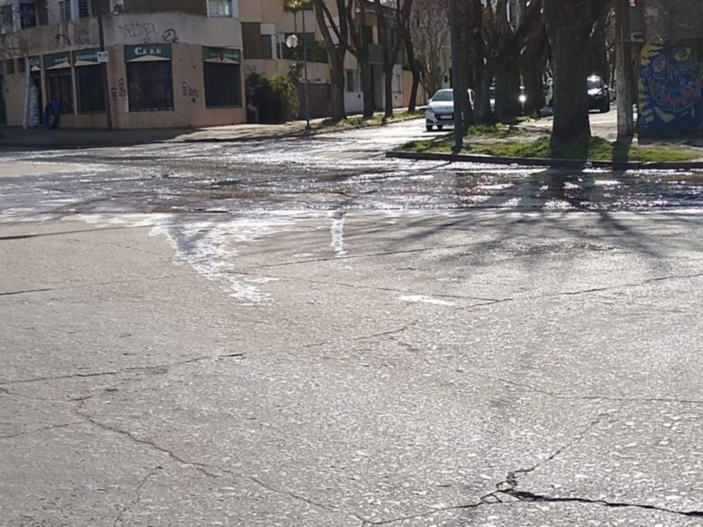 Foco infeccioso a metros de una escuela en El Mondongo