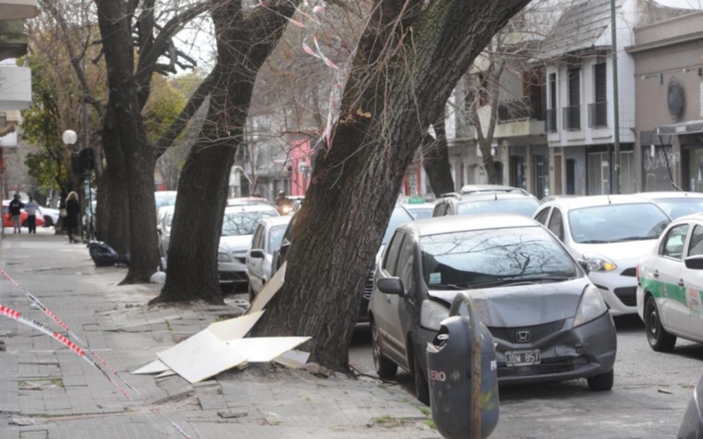 De cables expuestos a árboles por caer, el riesgo diario de las trampas urbanas
