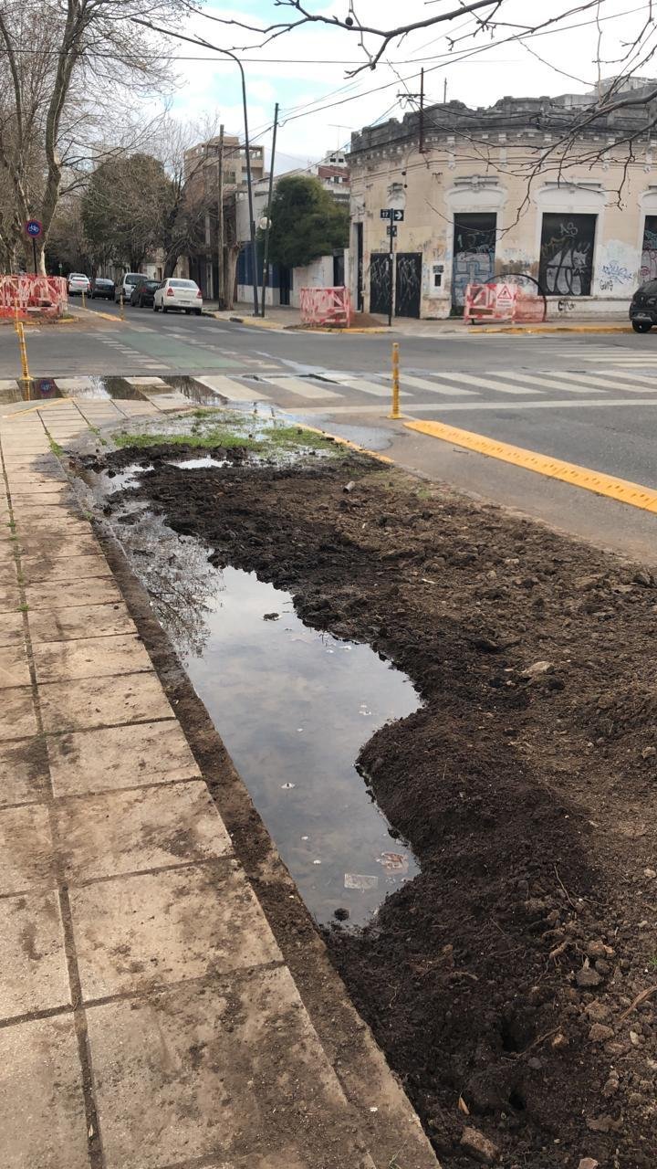 Pedido por el “abandono” en la rambla de 53 y 17