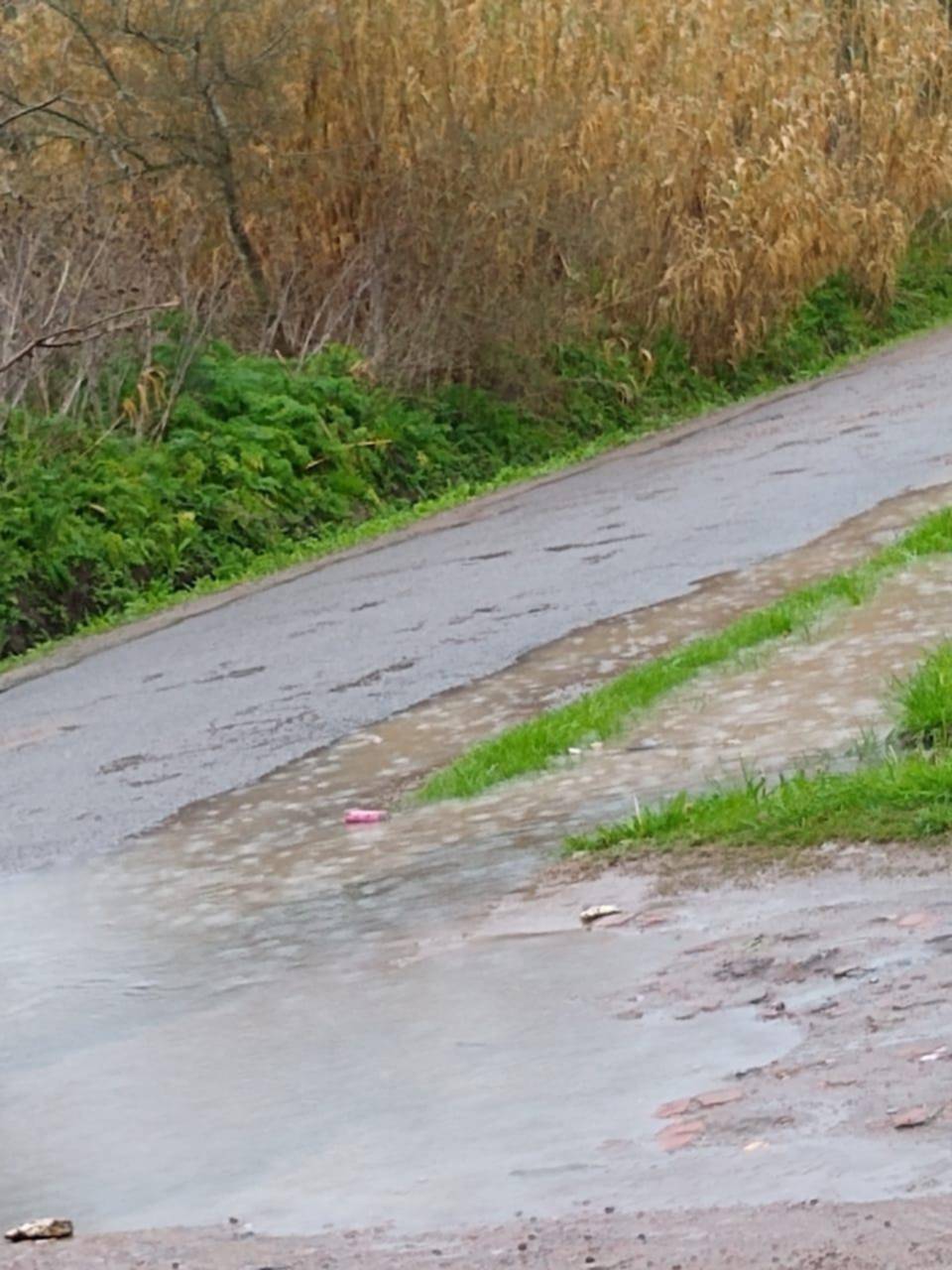 Calles que piden auxilio en la zona de Parque Sicardi