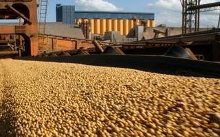 Acuerdo histórico: China comprará harina de soja a la Argentina