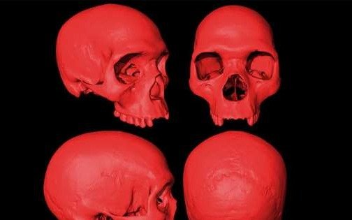 Científicos reconstruyeron el cráneo del ancestro del Homo Sapiens en 3D
