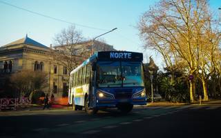 Analizan suspender servicios de colectivos en horario nocturno: ¿Afectará en La Plata?