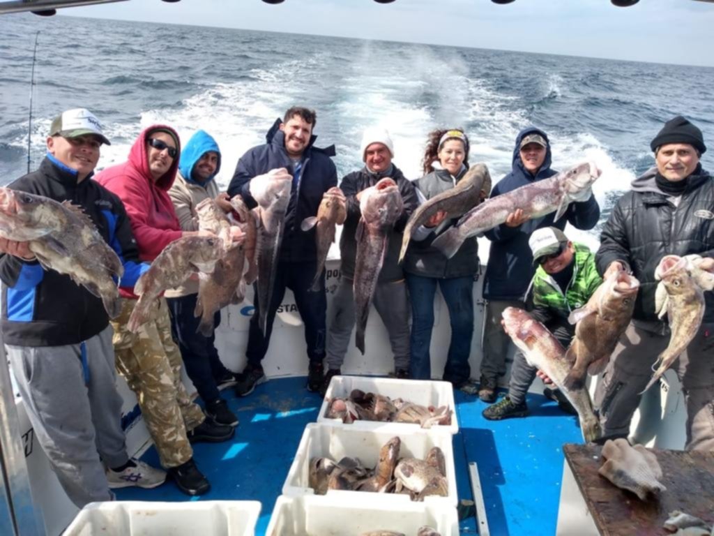 Abundancia de distintas especies y gran tamaño en la pesca de altura en Mar del Plata