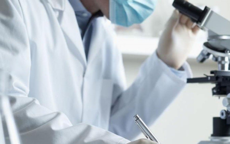 Científicos argentinos desarrollan un método con células madre para conservar pulmones para trasplante