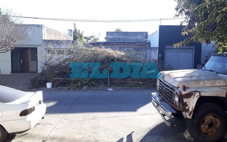 Tiene una montaña de ramas en la puerta de su casa y nadie las retira