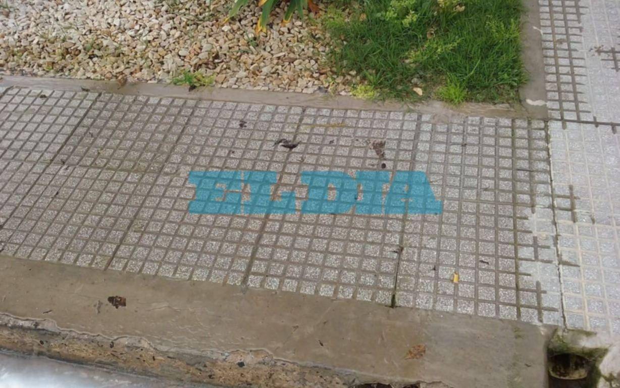 En San Carlos, una pérdida de agua que lleva más de un mes sin solución