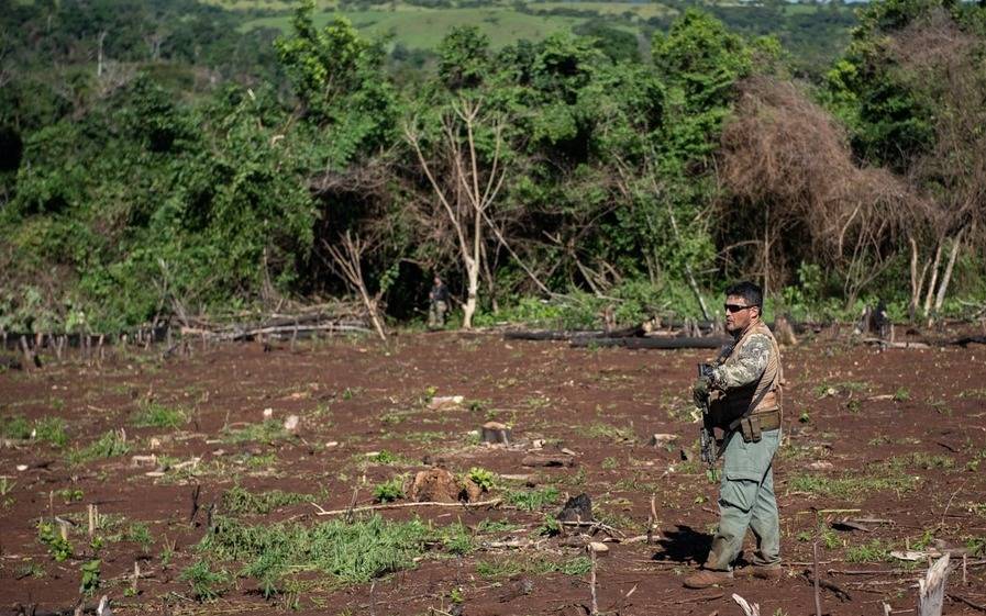 Argentina y Paraguay destruirán 345 mil kilos de marihuana